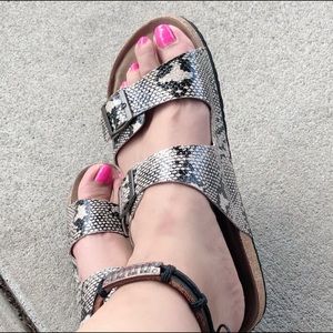 Snake Print Slides